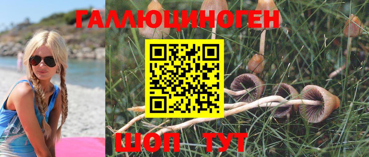 Заринск  Галлюциногенные грибы MAGIC MUSHROOMS  как найти закладки  Вход с VPN 